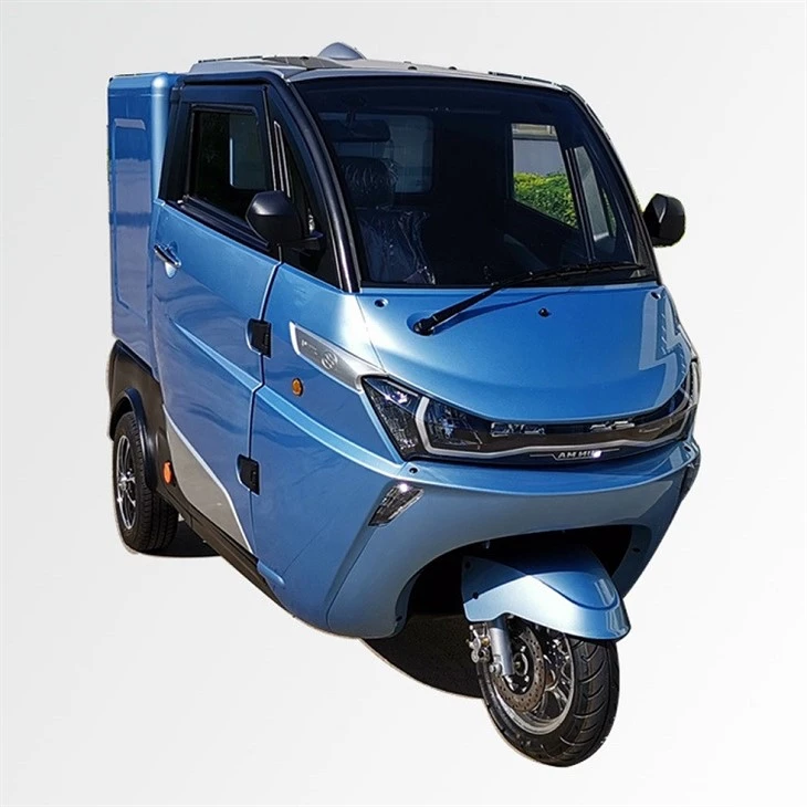 Electric Mini Delivery Van Coc Cargo Box Electric Mini Delivery Van Coc Cargo Box