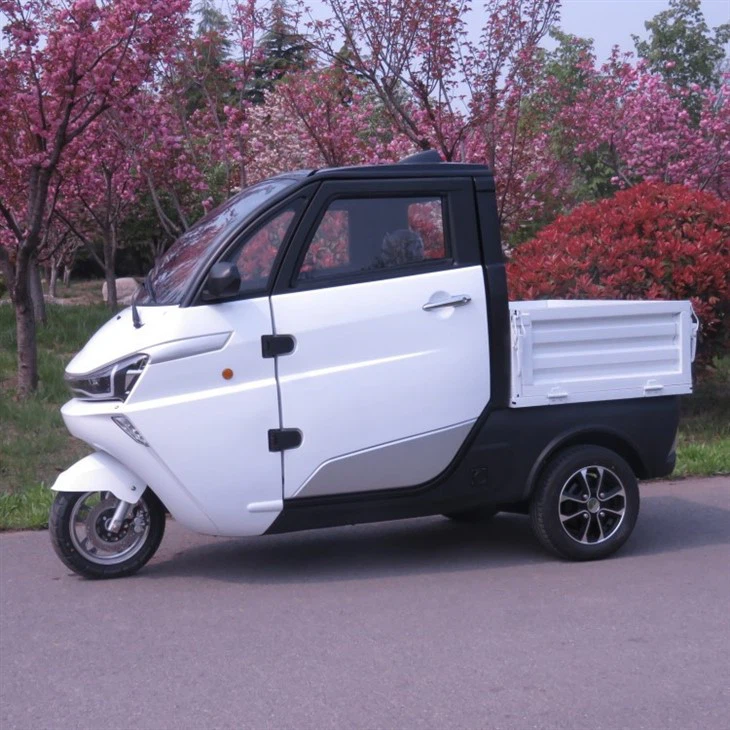 Low Speed Mini Electric Delivery Van Cargoes Trucks COC DOT
