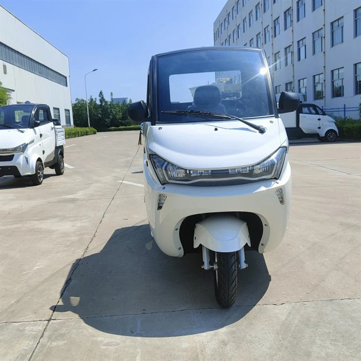 Low Speed Mini Electric Delivery Van Cargoes Trucks COC DOT