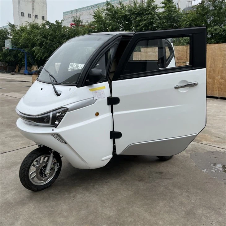 3 Wheel Tricycle EEC Travel Tools Three Wheel Electric Scooter 3 Wheel Tricycle EEC Travel Tools Three Wheel Electric Scooter